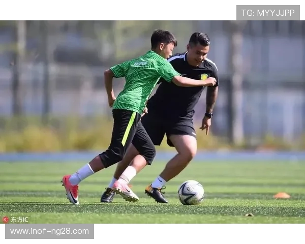 阿贾克斯崛起之路探秘荷兰足球青训体系与团队精神的完美融合